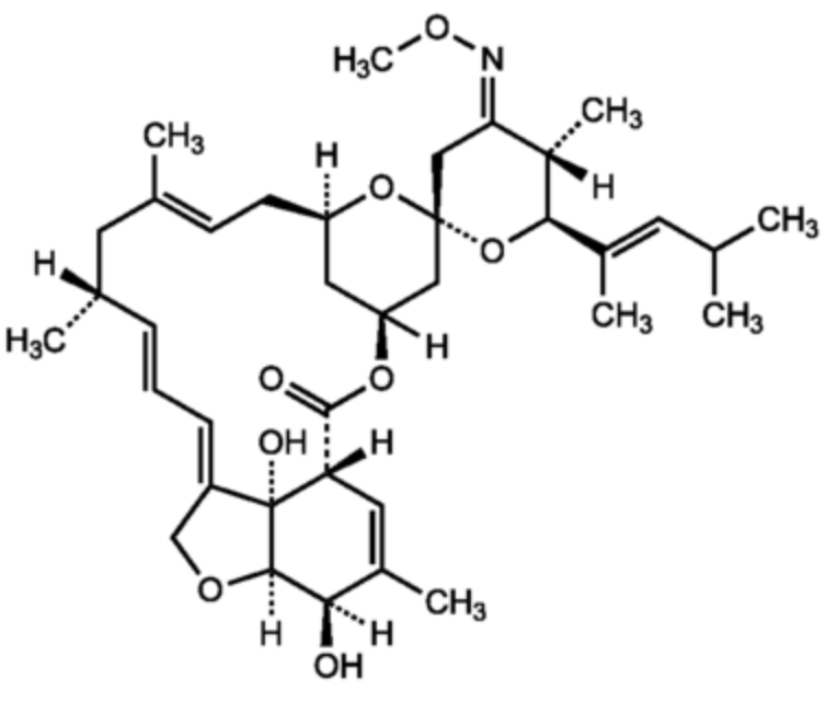 Parasites digestifs